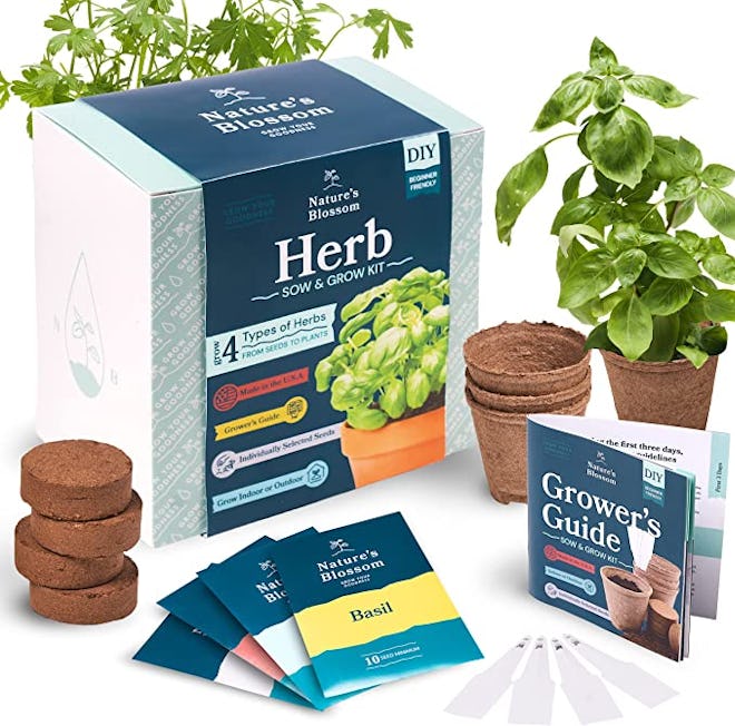 Nature's Blossom Herb Garden Kit