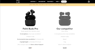 Palm Buds Pro Review