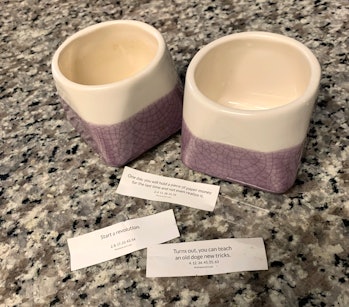 Crypto fortune cookie examples with tea cups