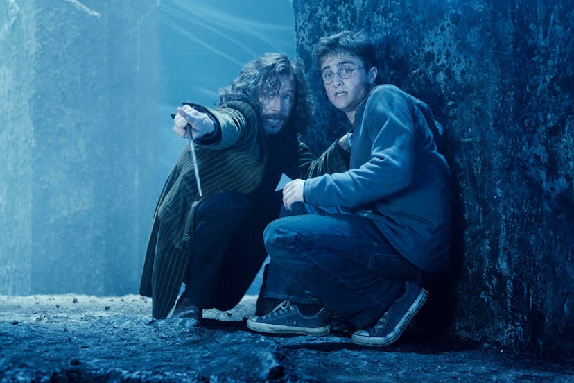 Sirius and Harry In 'Harry Potter & The Order Of The Phoenix'