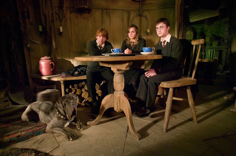 Ron, Hermione, Harry, and Fang in Hagrid's Hut In 'Harry Potter & The Order Of The Phoenix' 