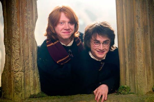 Harry and Ron in 'Harry Potter & The Goblet Of Fire'