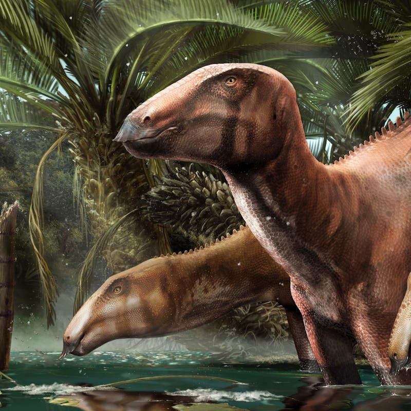 artist's interpretation of an adult and two juvenile individuals of the dinosaur Tethyshadros insula...