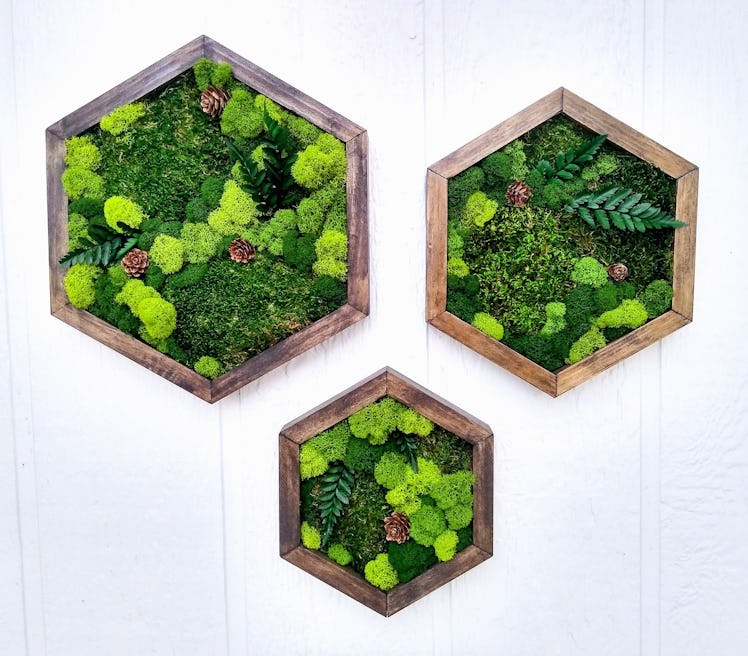 Moss wall art is part of biophilic design, which will be a home decor 2022 trend. 