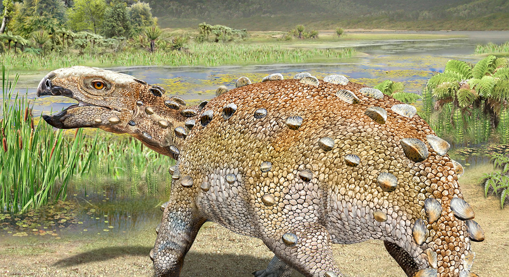 Reptossaurus Look: This dinosaur had a natural weapon unlike any other