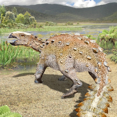 Stegouros elengassen, new dino species