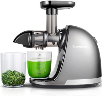 AMZCHEF Slow Masticating Juicer