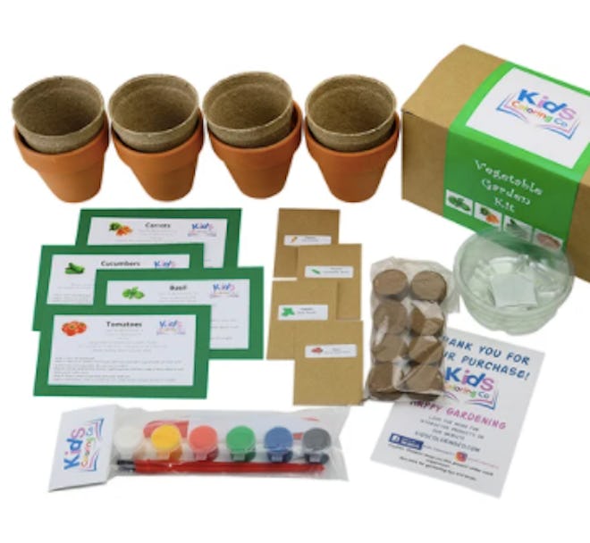 Vegetable gardening kit for kids