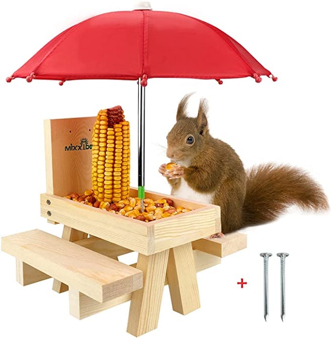 MIXXIDEA Squirrel Feeder