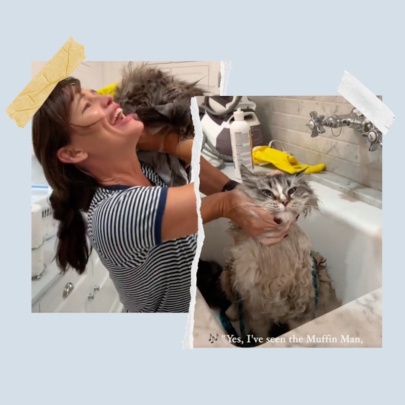 Jennifer Garner bathing her cat.