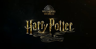 Harry Potter 20th Anniversary Special Key Art
