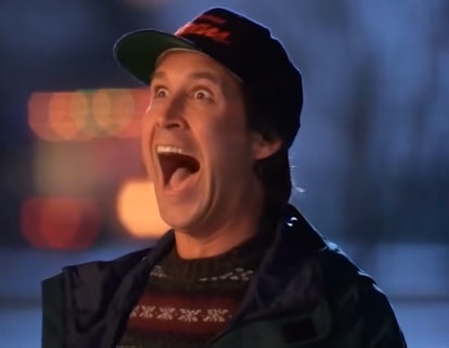 Clark Griswold revels in his Christmas lights display.