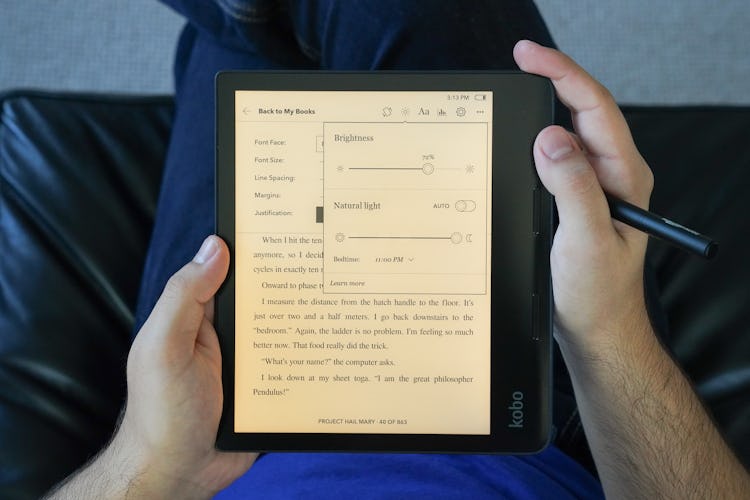 Kobo Sage Input Review