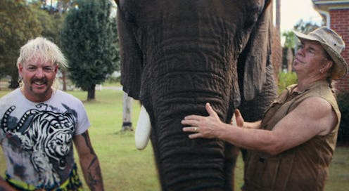 Netflix's 'Tiger King: The Doc Antle Story' explores Doc Antle's zoo and his crimes.