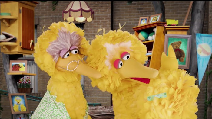 Big Bird and Granny Bird discuss why they had Bid Bird vaccinated against Covid-19 in a new PSA from...