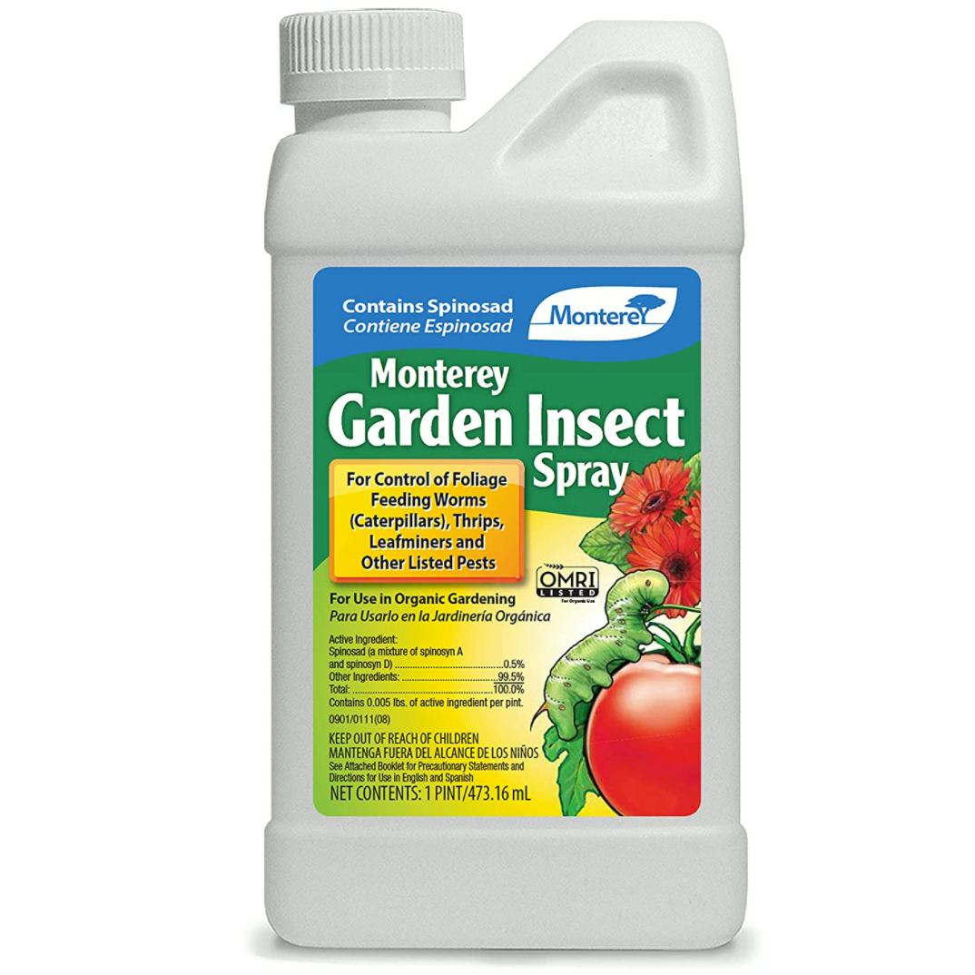 The 4 Best Insecticides For Your Vegetable Garden