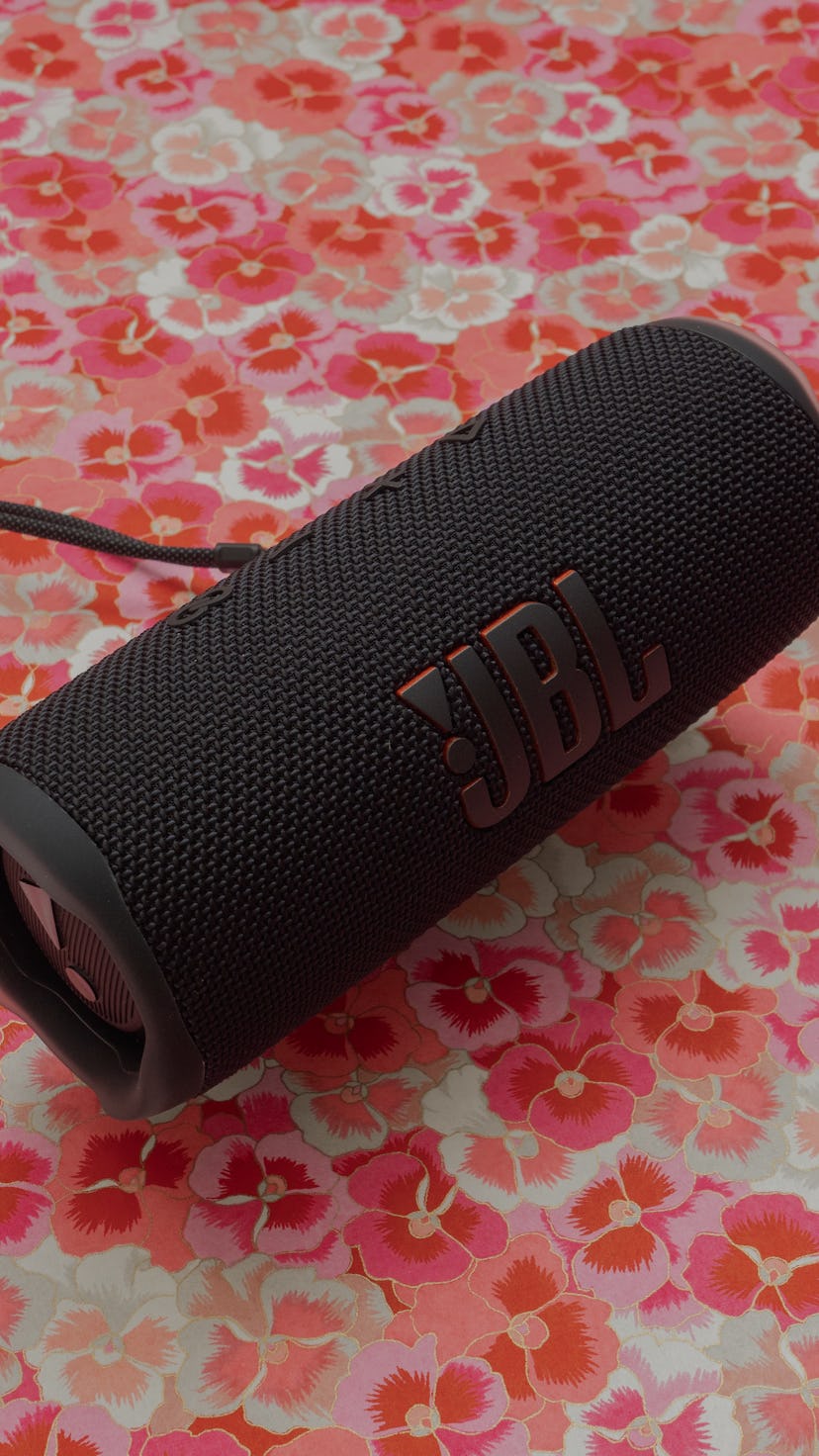 JBL Flip 6 Input Review
