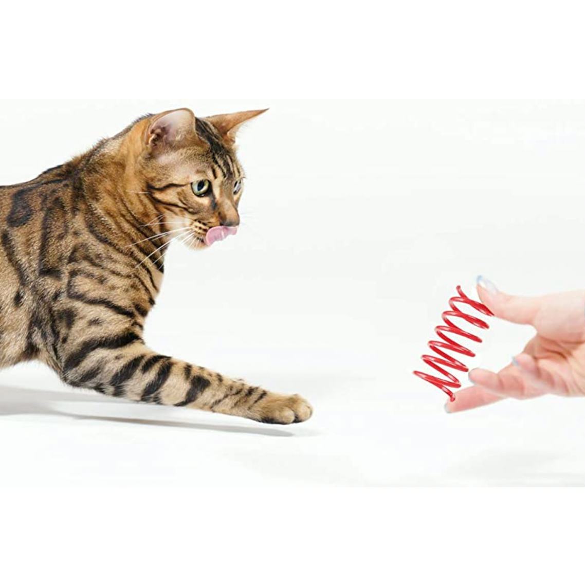 The 10 Best Toys For Bengal Cats