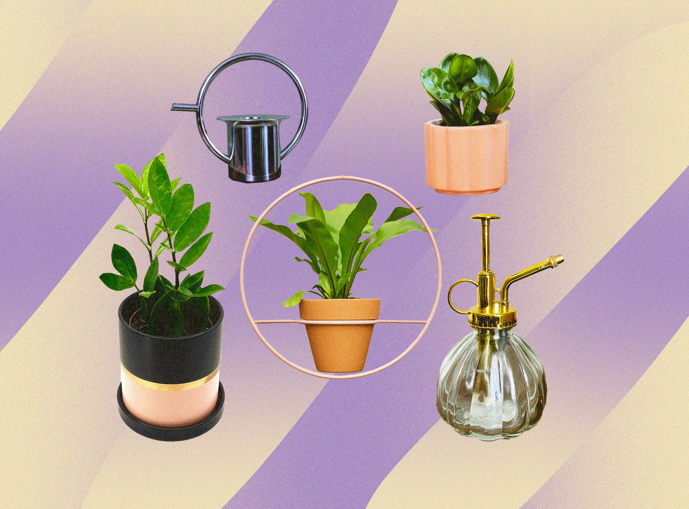 A collage of five gifts for the proud plant parent in your life