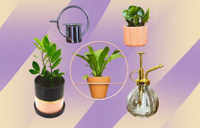 A collage of five gifts for the proud plant parent in your life