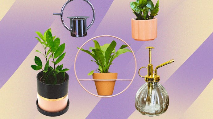 A collage of five gifts for the proud plant parent in your life