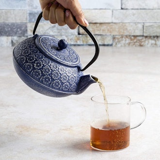 Primula Cast Iron Teapot