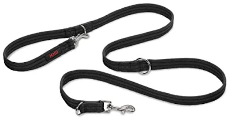 HALTI Training Lead For Dogs