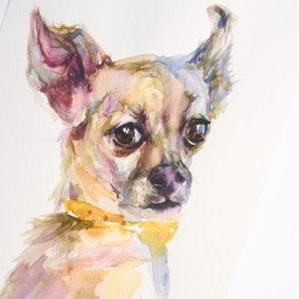 Watercolor Pet Paintings