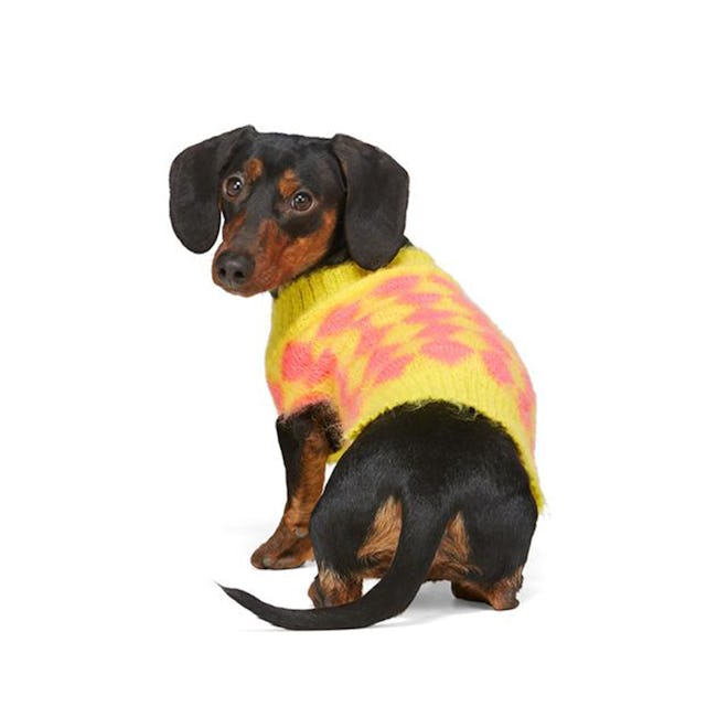 Ashley Williams Yellow & Pink Intarsia Mohair Sweater