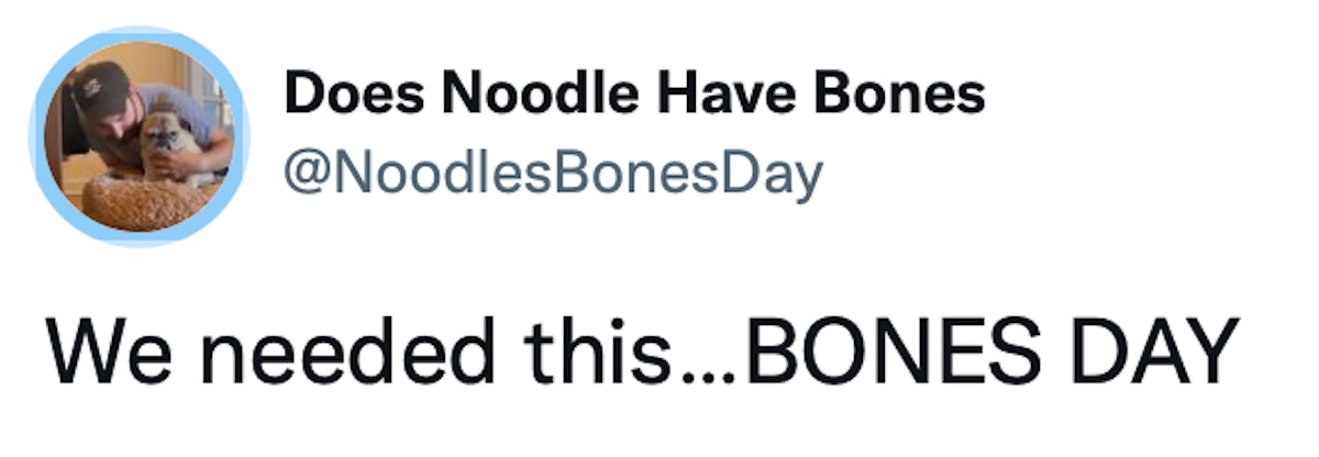 "We needed this ... BONES DAY," reads a tweet about one of 2021's best memes, the Bones Day forecast...