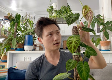 Plantfluencer Jimmy Nguyen