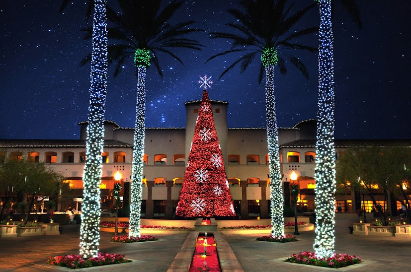 Fairmont Scottsdale Princess’ sparkly palm trees as holiday decorations