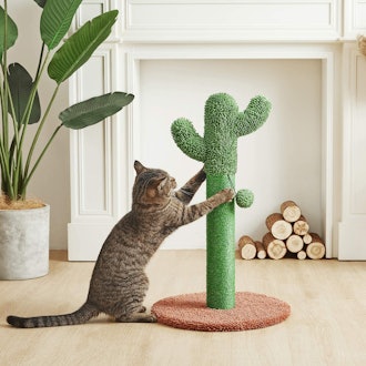 Catinsider Cactus Scratching Post
