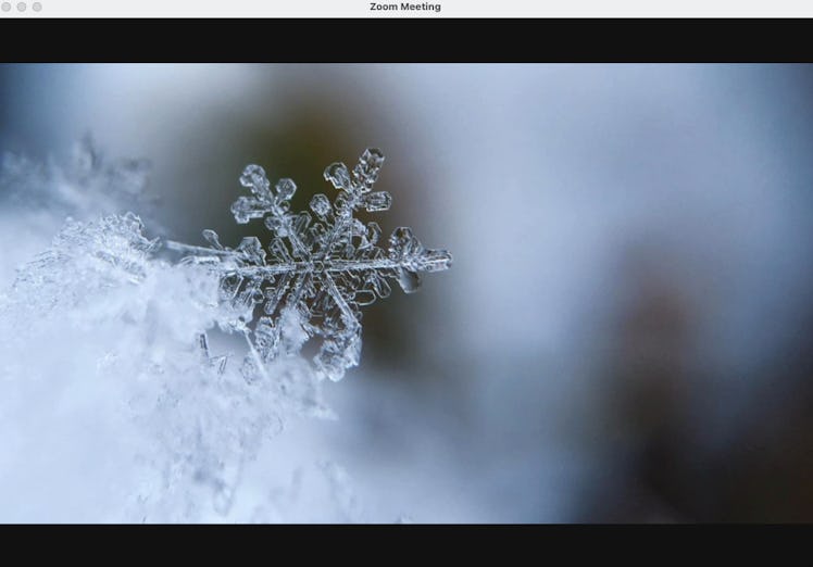 These winter Zoom backgrounds include scenic images of snowflakes.