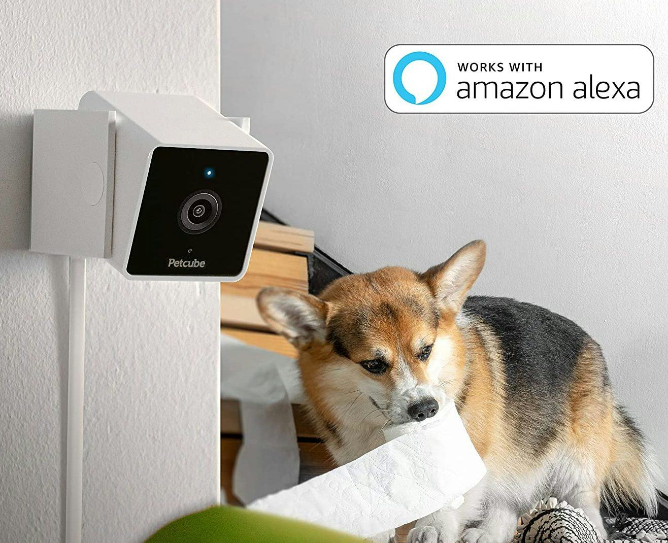 The 15 Best Alexa Accessories