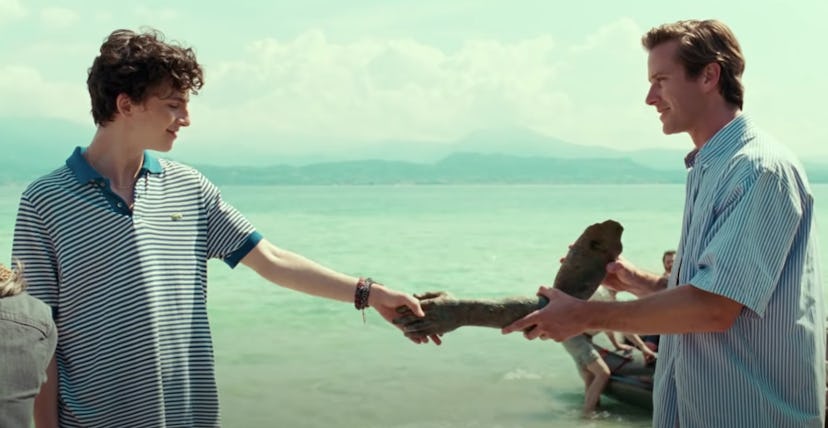 A heartbreaking story of love and longing, 'Call Me By Your Name' is a powerhouse.