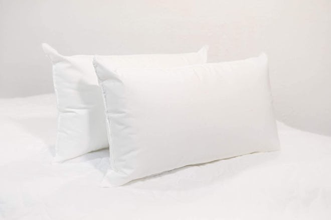 IZO Home Goods Throw Pillow Insert (Set of 2)