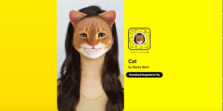 This Snapchat filter turns your face into a cat. 