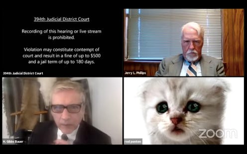 A screenshot of the virtual court proceedings where a Texas lawyer accidentally logged in with a cat...