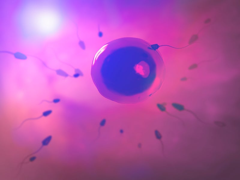 sperm, egg
