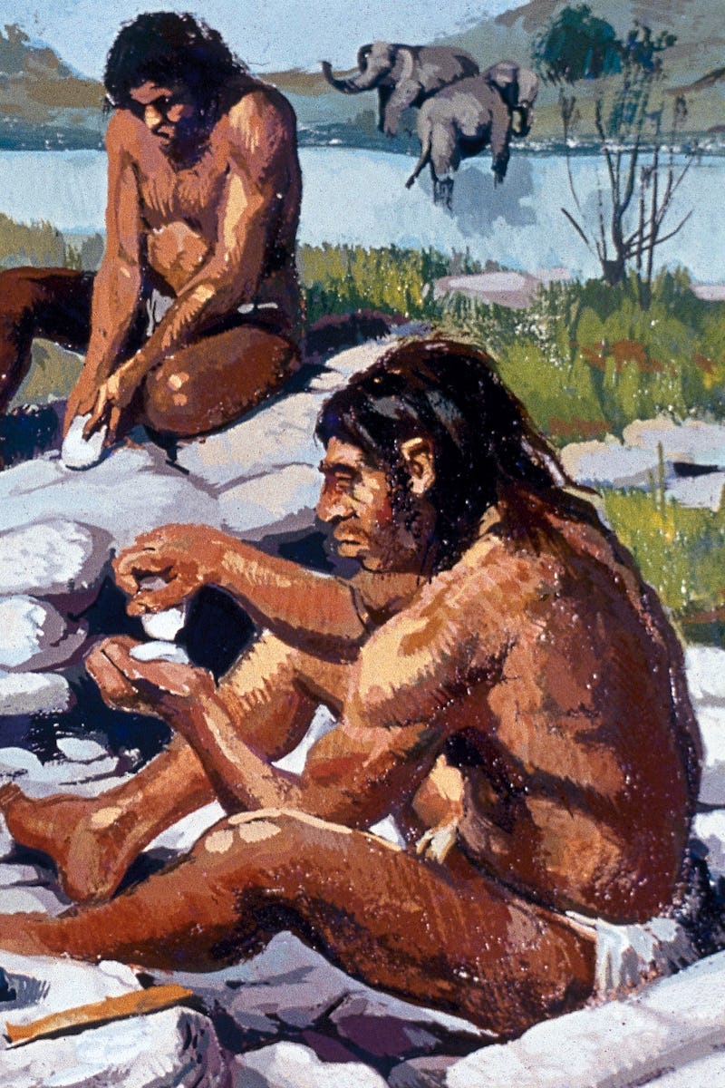 Neanderthals, ancient humans