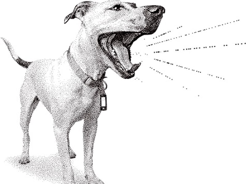 Dog barking illustration.