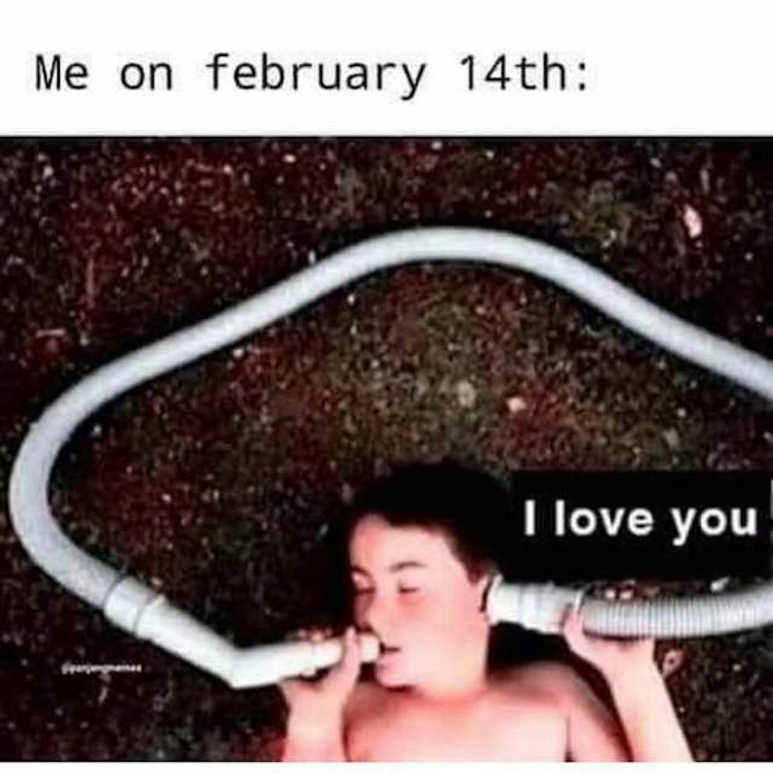 25 Valentine's Day Memes For People Who Hate Valentine's Day And All