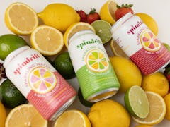 This Spindrift Lemonade review fills you in on taste, price, availability, and more.