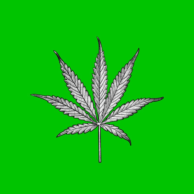 sketch of a marijuana leaf on a green backgroun