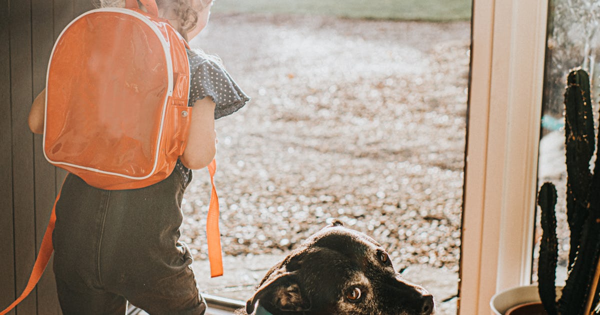 Is Preschool Tuition Tax Deductible In 2020 Here s What You Need To Know is-preschool-tuition-tax-deductible-in-2020-here-s-what-you-need-to-know