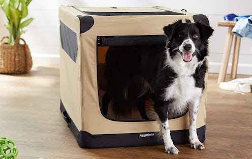 The Best Soft Dog Crates