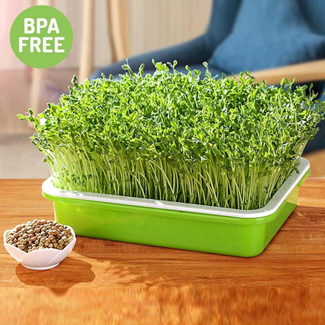 LeJoy Garden Seed Sprouter Tray