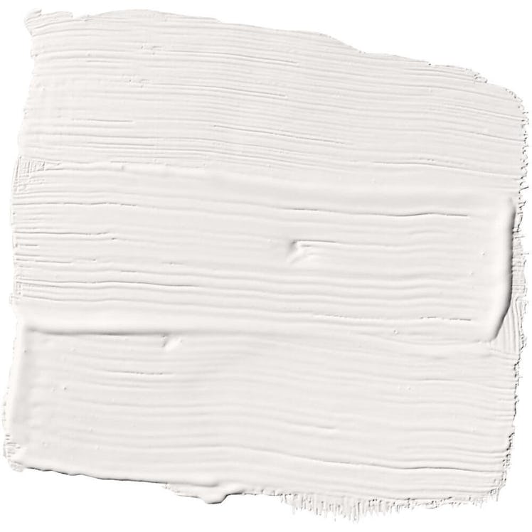 Minimalist White Eggshell Interior Paint with Primer - 1 Gallon