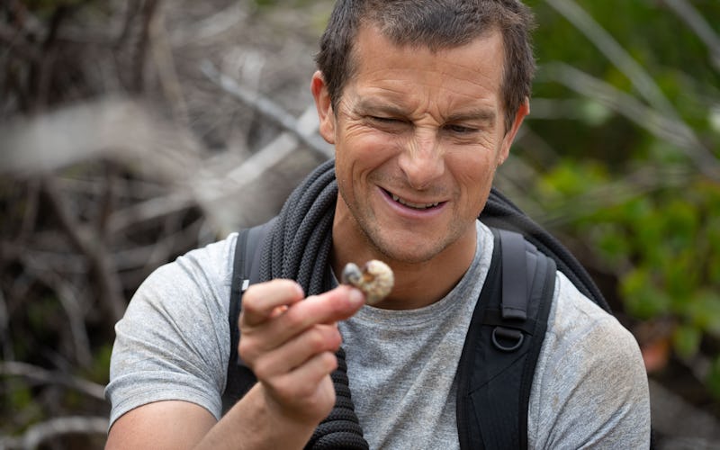 Bear Grylls contemplates eating a bug in 'Animals On the Loose: A You vs. Wild Movie,' via the Netfl...